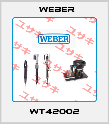 WT42002 Weber