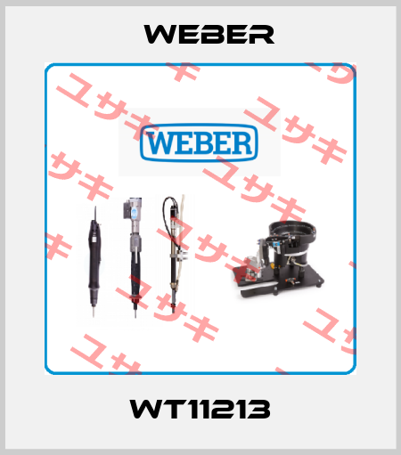 WT11213 Weber