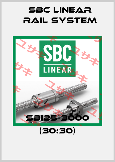 SBI25-3000 (30:30) SBC Linear Rail System