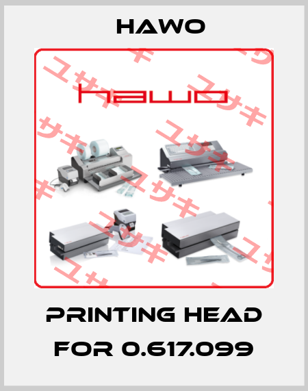 printing head for 0.617.099 HAWO