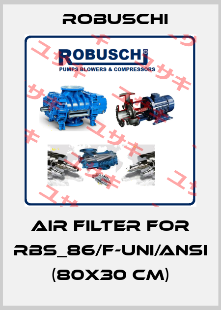 air filter for RBS_86/F-UNI/ANSI  (80x30 cm) Robuschi