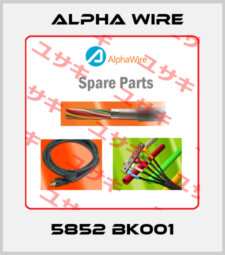 5852 BK001 Alpha Wire