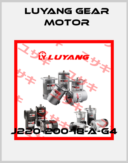 J220-200-18-A-G4 Luyang Gear Motor