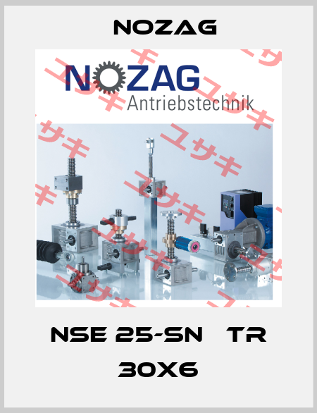 NSE 25-SN   Tr 30x6 Nozag