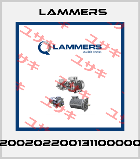 02002022001311000000 Lammers