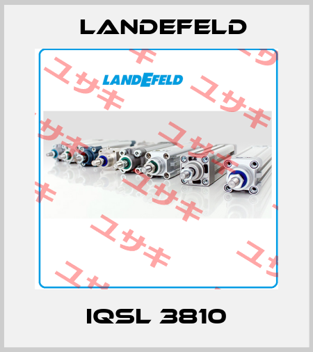 IQSL 3810 Landefeld