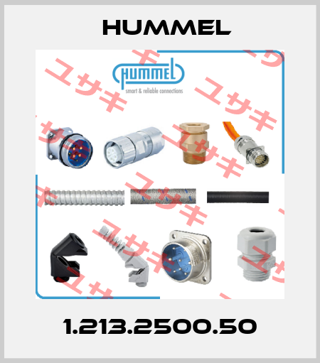 1.213.2500.50 Hummel
