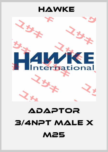 adaptor 3/4NPT male x M25 Hawke