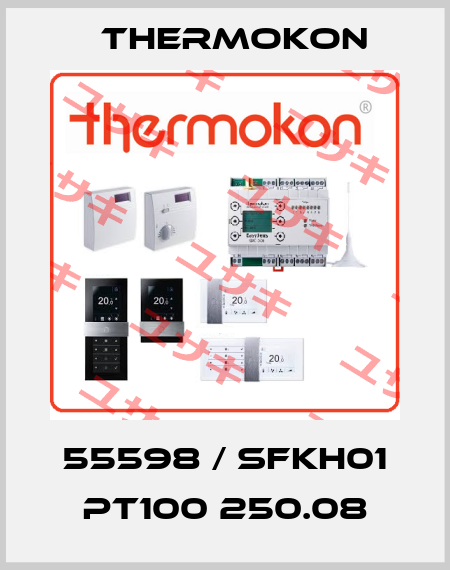 55598 / SFKH01 PT100 250.08 Thermokon