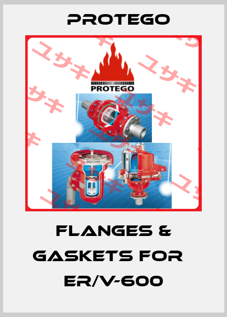 FLANGES & GASKETS for   ER/V-600 Protego