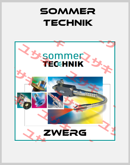 ZWERG Sommer Technik