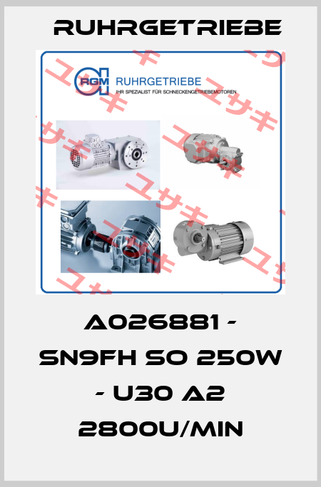 A026881 - SN9FH So 250W - U30 A2 2800U/min Ruhrgetriebe