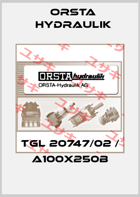 TGL 20747/02 / A100x250B Orsta Hydraulik