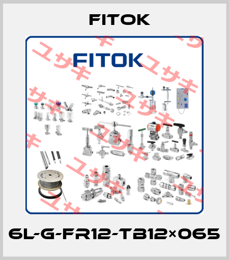 6L-G-FR12-TB12×065 Fitok
