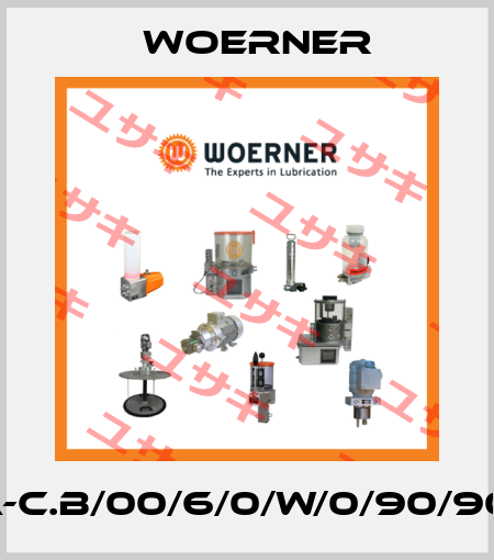 VPA-C.B/00/6/0/W/0/90/90/90 Woerner