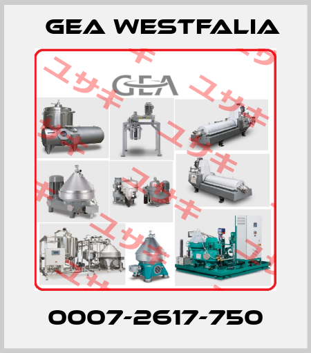 0007-2617-750 Gea Westfalia