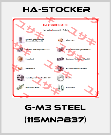 G-M3 steel (11SMnPb37) HA-Stocker 