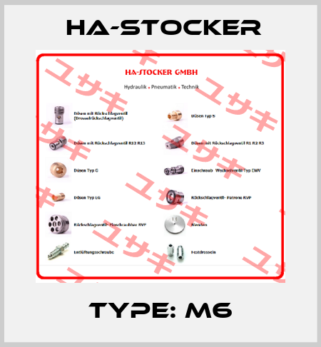 Type: M6 HA-Stocker 