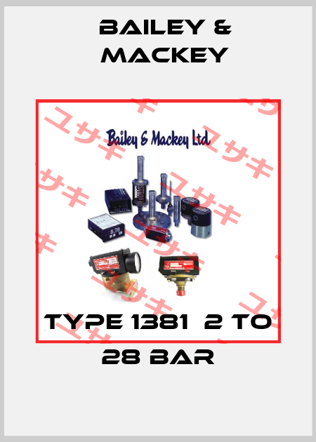 Type 1381  2 to 28 bar Bailey & Mackey