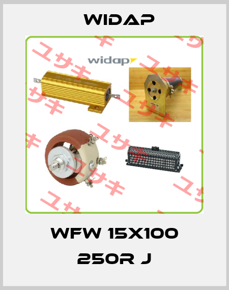WFW 15x100 250R J widap