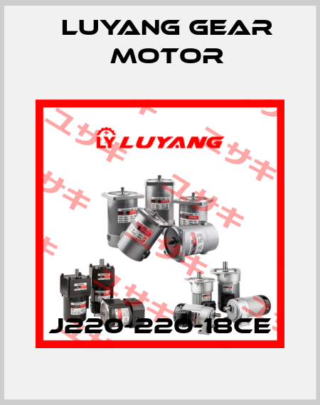 J220-220-18CE Luyang Gear Motor