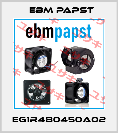 EG1R480450A02 EBM Papst