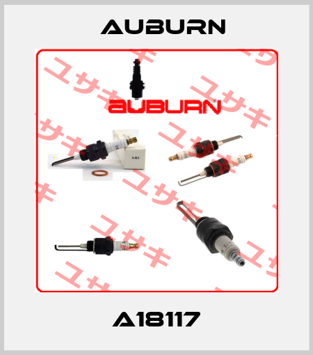a18117 Auburn