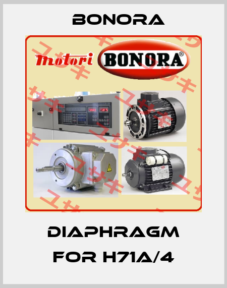 diaphragm for H71A/4 Bonora