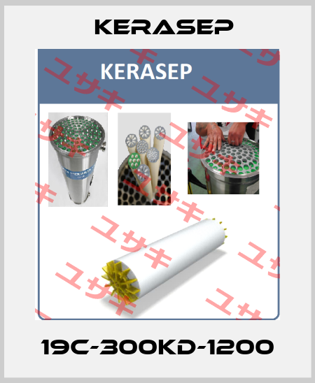 19C-300KD-1200 Kerasep