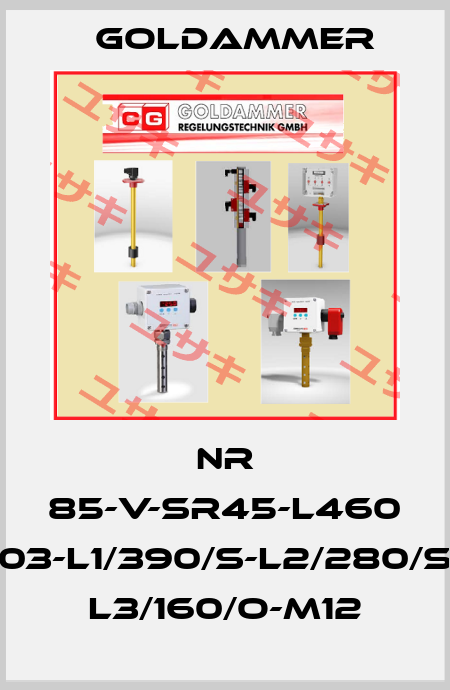 NR 85-V-SR45-L460 03-L1/390/S-L2/280/S L3/160/O-M12 Goldammer