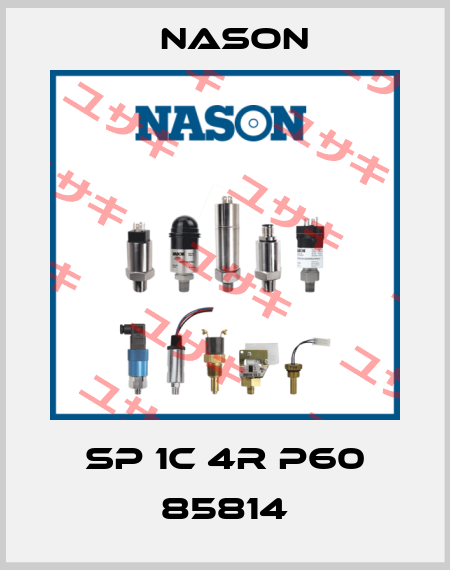SP 1C 4R P60 85814 Nason