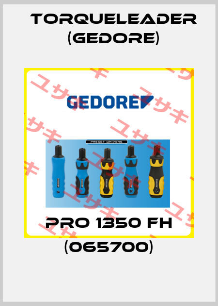 PRO 1350 FH (065700) Torqueleader (Gedore)