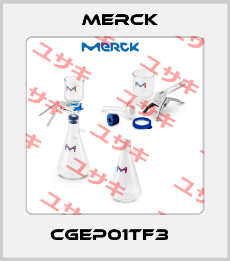 CGEP01TF3   Merck