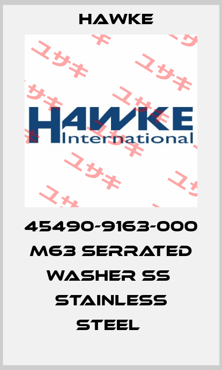 45490-9163-000  M63 Serrated washer SS  Stainless Steel  Hawke
