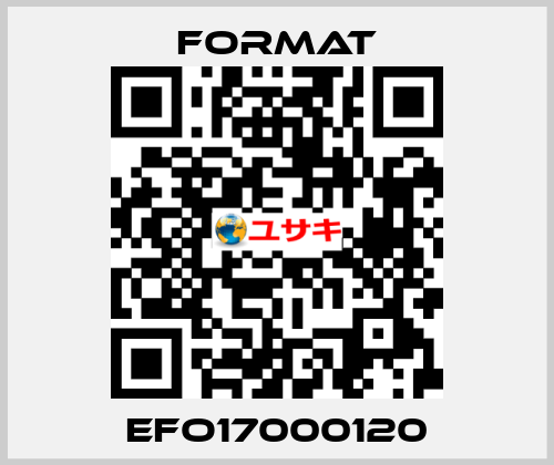 EFO17000120 Format