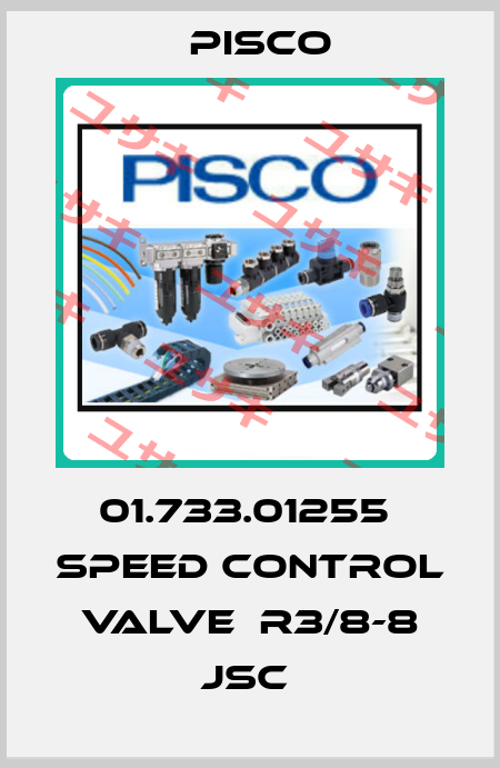 01.733.01255  speed control valve  R3/8-8 JSC  Pisco