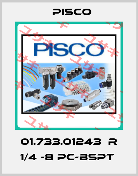 01.733.01243  R 1/4 -8 PC-BSPT  Pisco