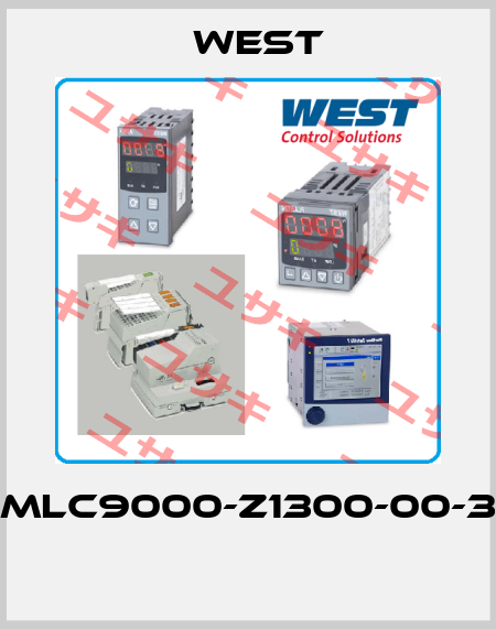 MLC9000-Z1300-00-3  West Instruments