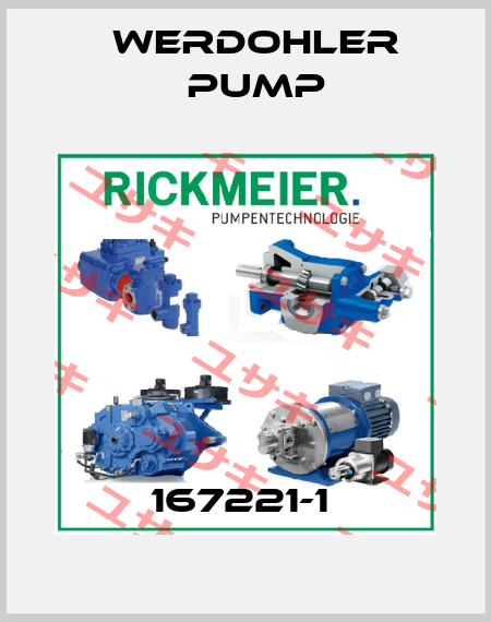 167221-1  Werdohler Pump