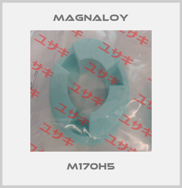 M170H5 Magnaloy