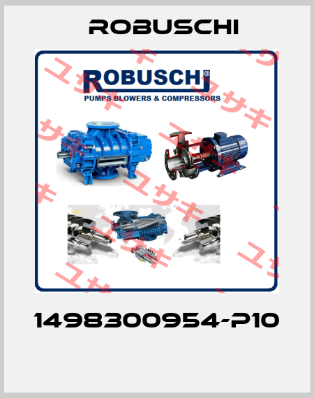 1498300954-P10  Robuschi