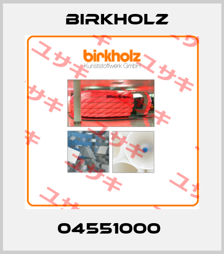 04551000  Birkholz
