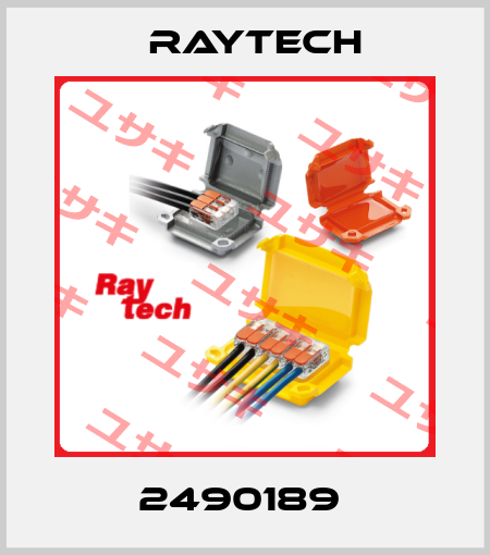 2490189  Raytech