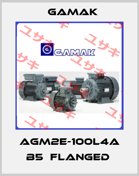AGM2E-100L4A B5  Flanged  Gamak