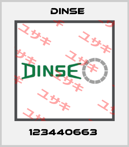 123440663  Dinse