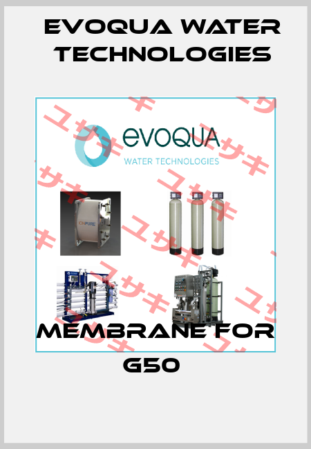 Membrane for G50  Evoqua Water Technologies