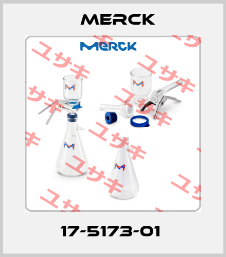 17-5173-01  Merck