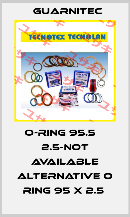 O-ring 95.5 х 2.5-not available alternative O Ring 95 x 2.5  Guarnitec