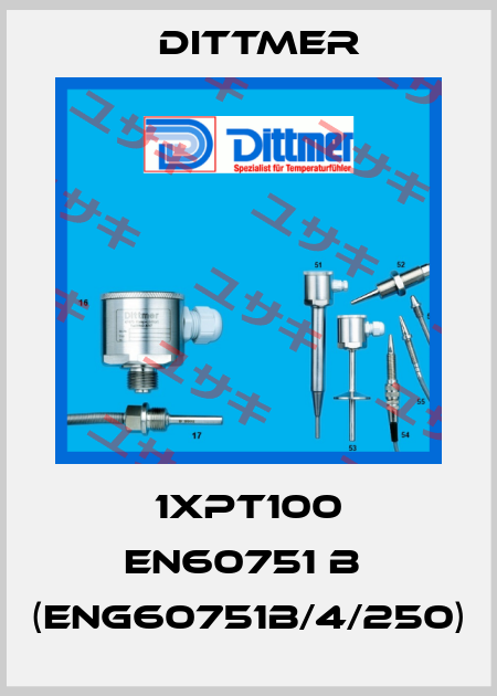 1xPT100 EN60751 B  (eng60751B/4/250) Dittmer