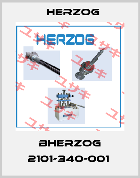 BHERZOG 2101-340-001  Herzog
